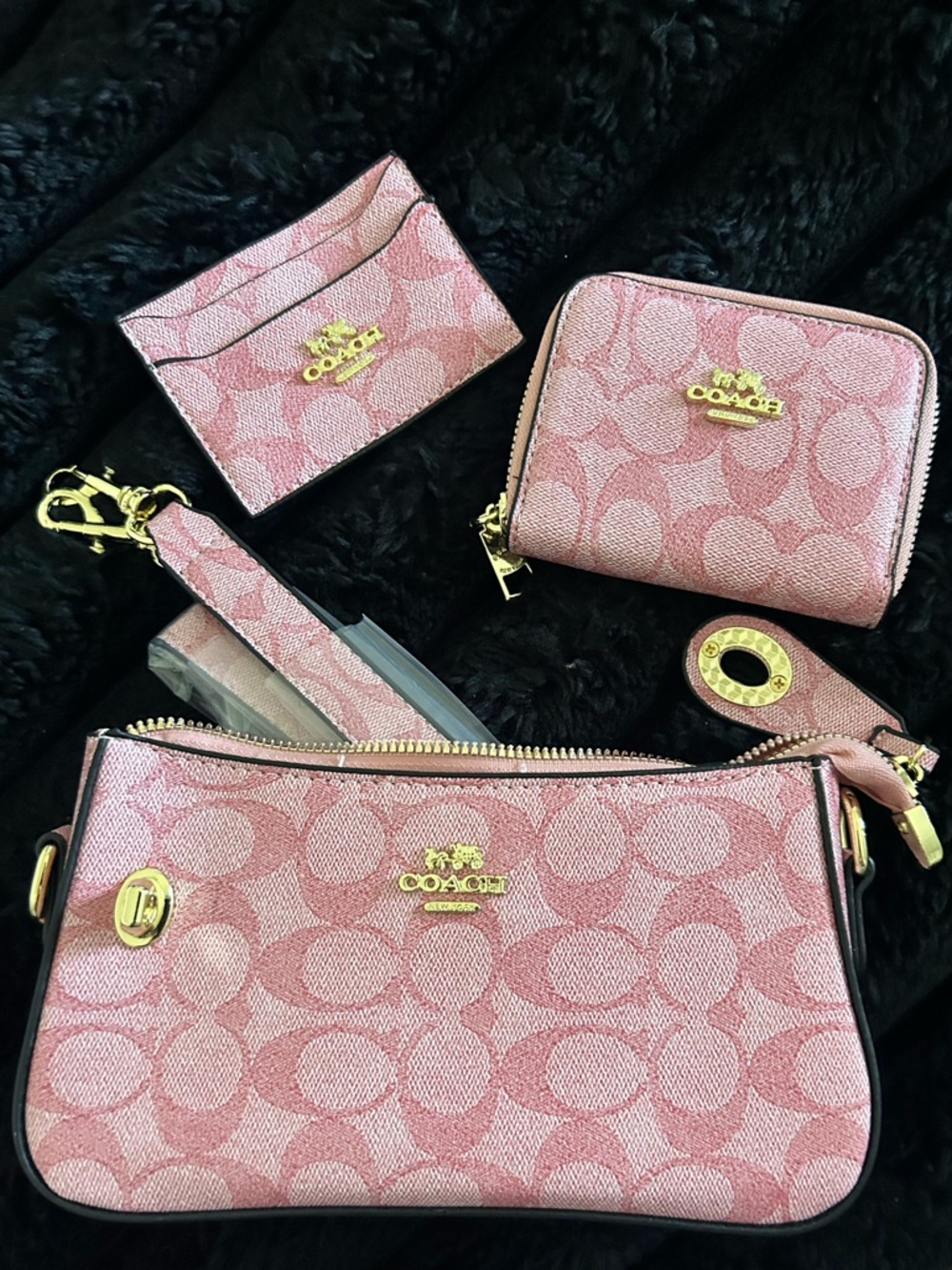 Coach Pink Signature Canvas Bag Set with Gold Hardware